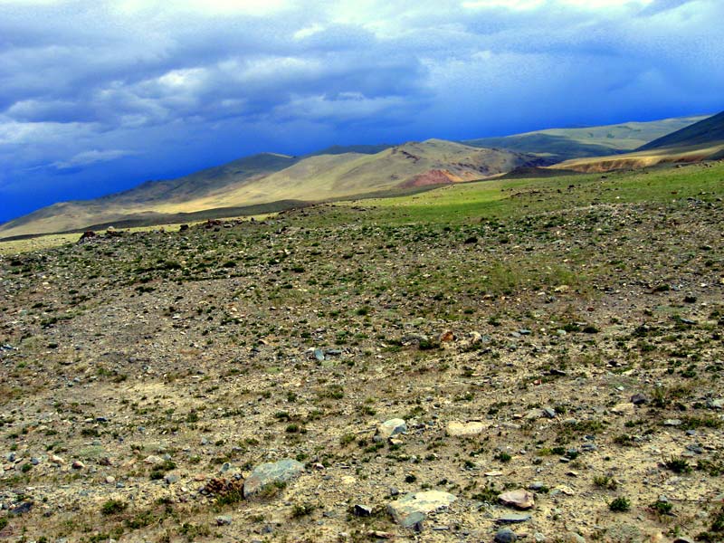 В Чуйской степи