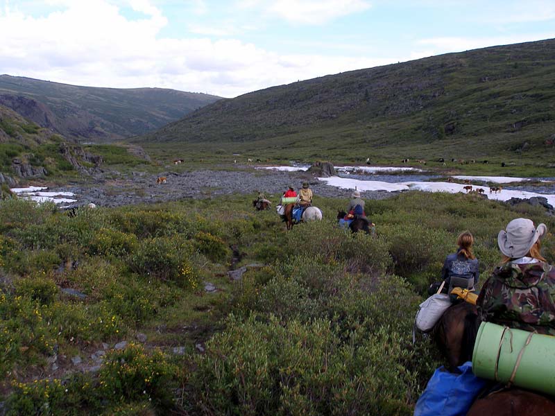 По пути встретили стадо коров и яков