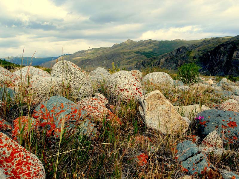 Долина реки Аккол