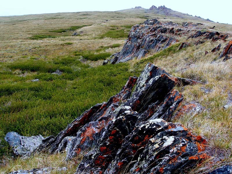 В урочище Ушберток-Жайляу