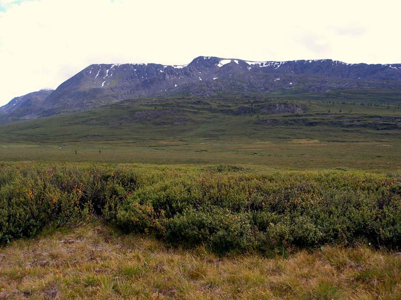 В долине реки Мукыр