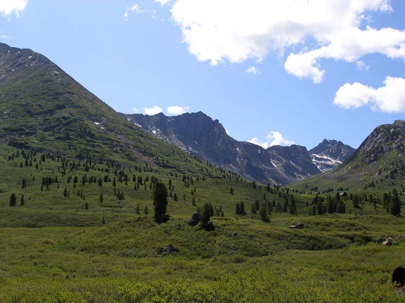 На горе видны полузаросшие колеи к руднику