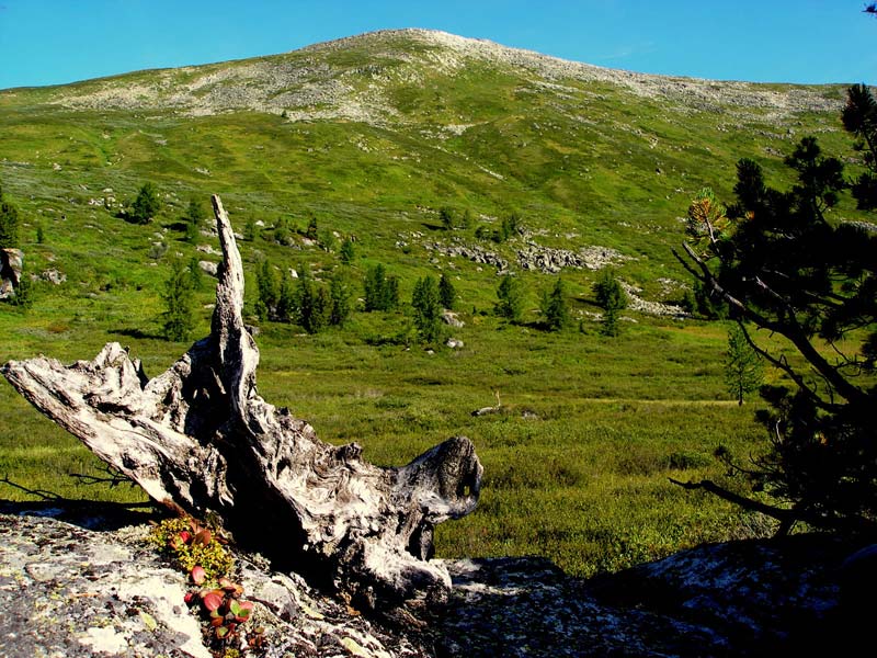 В долине реки Кара-Алаха