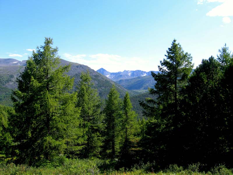 Снова вверх