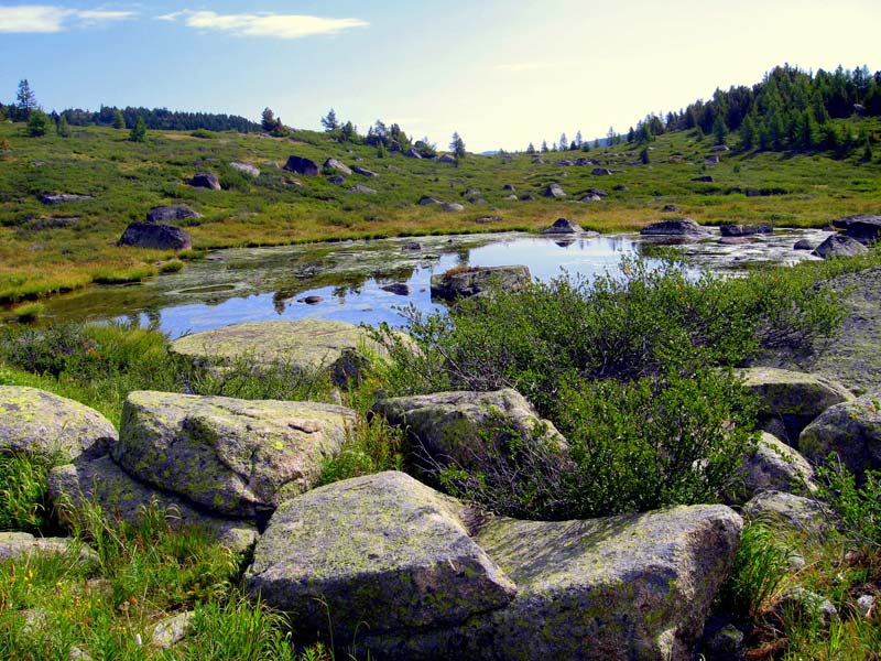 Небольшое озерцо