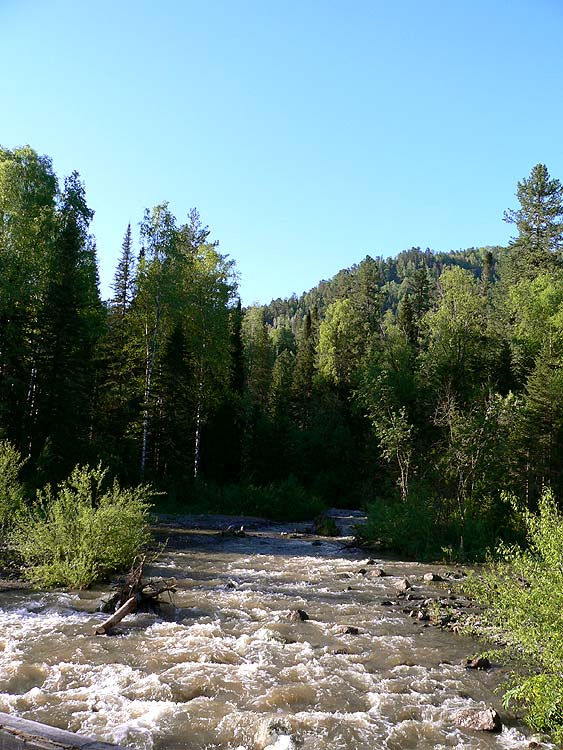 Низовье Третьей речки (Ойрок)