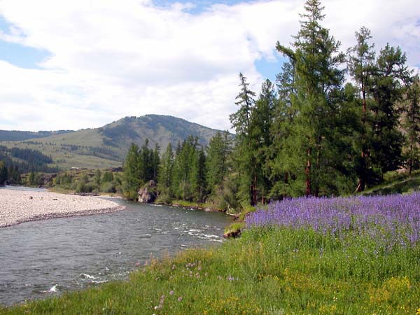 Первая стоянка на Башкаусе