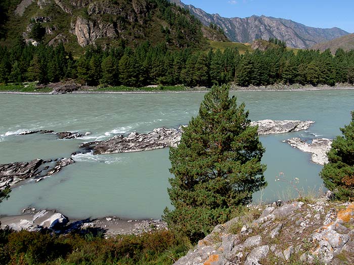 Фотографии : Горный Алтай : База отдыха «Еланда» : Катунь, залив у базы