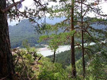 Вид на Катунь