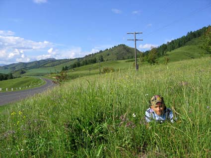 Дорога на Семинский перевал