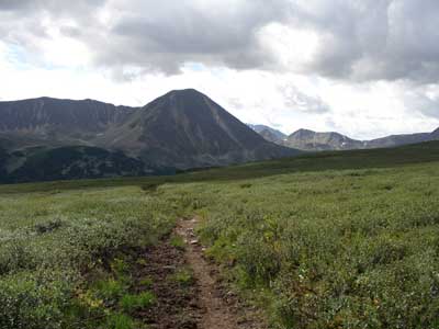Тропа по болоту