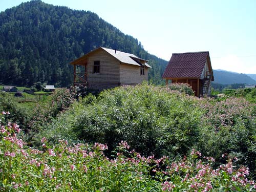 Усадьба Гудвин