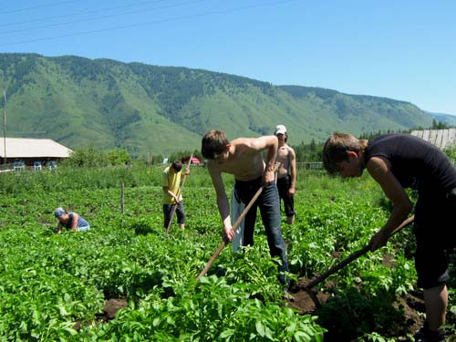 Прополка в Кучерле