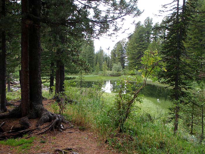 Тропа вдоль седьмого озера