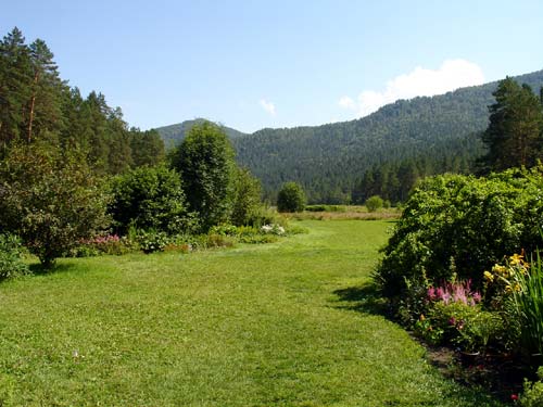 Шишкулар-Катаил - Чистый луг