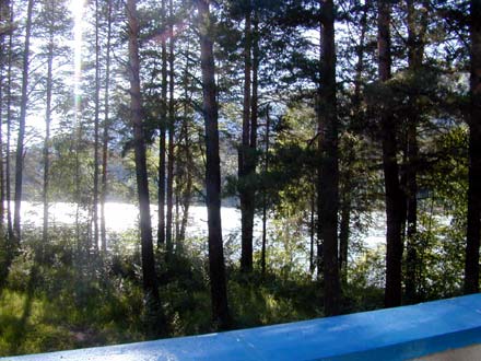 Вид с балкона