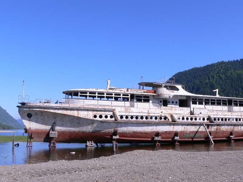 Пионер Алтая в 2008 году