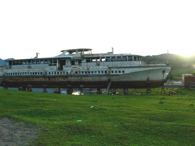 Пионер Алтая в 2008 году