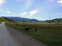 Автопробег по Горному Алтаю (май 2006) : На горизонте Усть-Кан