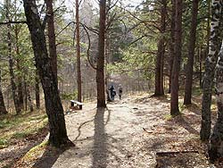 Горный Алтай : Активный отдых в Белокурихе : Дорожка к скале Церковка