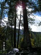 Поход по Горному Алтаю (сентябрь 2005)