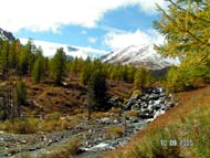 Поход по Горному Алтаю (сентябрь 2005) : Ущелье Каракабака