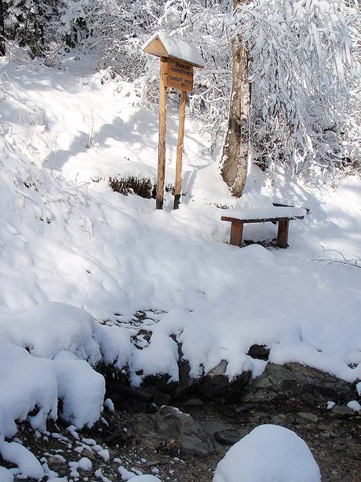 Серебряный источник