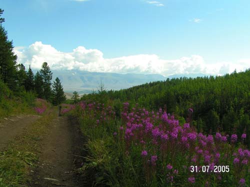Тропа к верхнему альплагерю