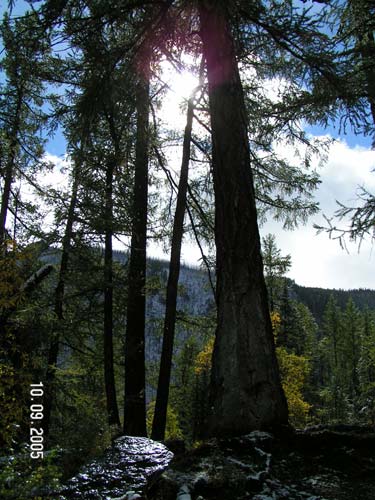 Поход по Горному Алтаю (сентябрь 2005)