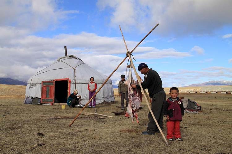 Ждут гостей