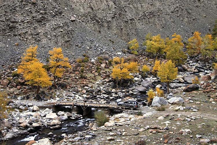 Приятная неожиданность в виде моста
