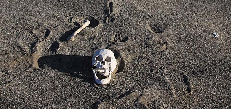 Пустыня - штука серьезная!