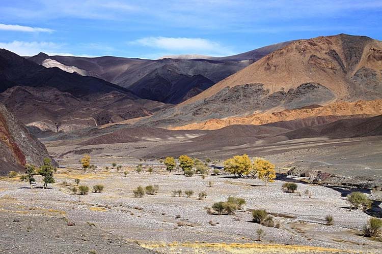 Разноцветная долина