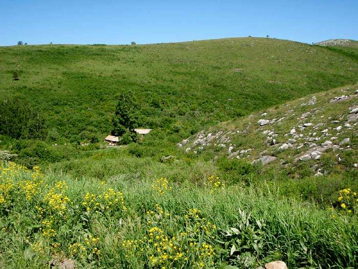 Пасека в районе Чинеты
