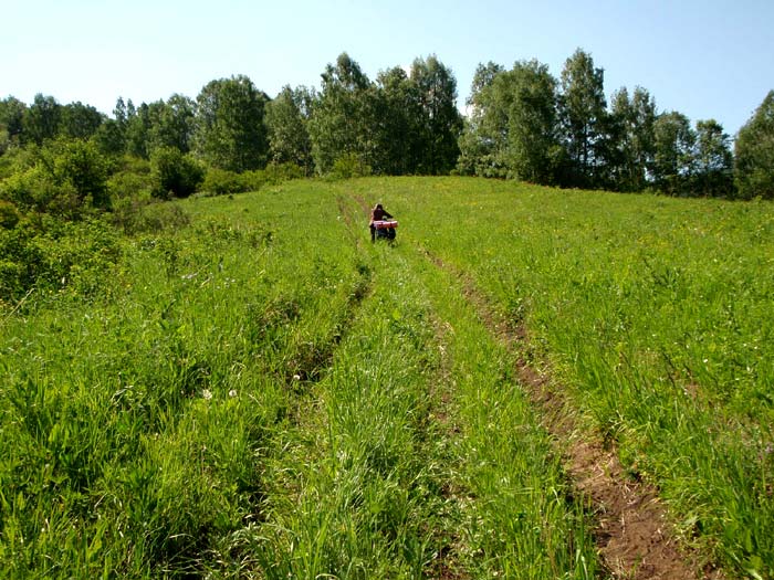 А посуда вперед и вперед...