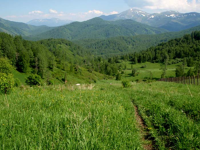 Вид на Коргонский хребет