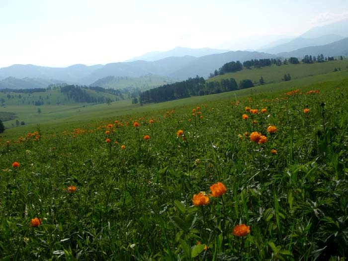 Красота кругом